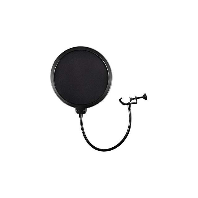 Mic pop filter